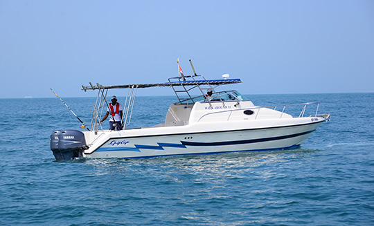 Private boat passing Palm Island Dubai